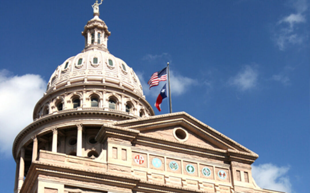 86th Texas Legislative Session Preview